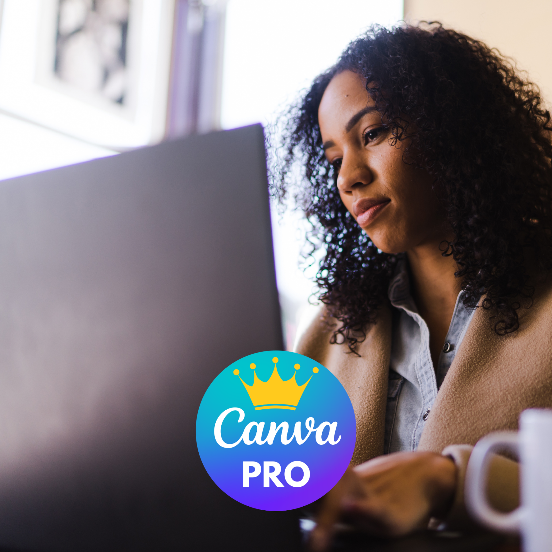 WMS_CanvaPro_web